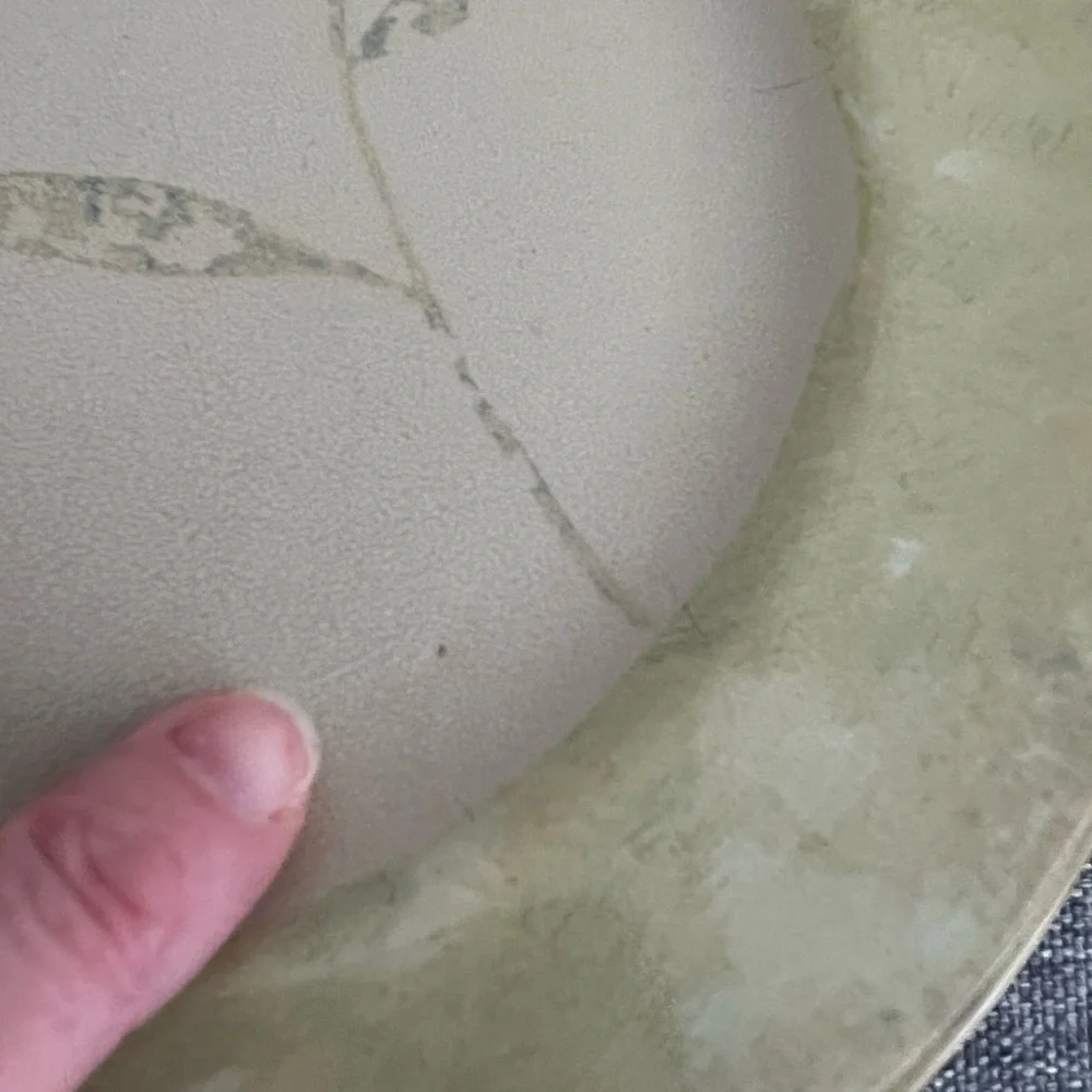 Pier 1 Beige Green Leaf Antiqued Stoneware Salad Plates Set of 4 Retired Brown